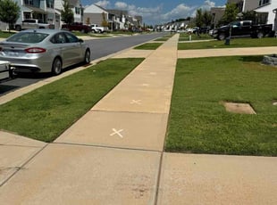 Dylan L.'s lawn care services service result