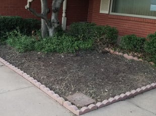 Ashley L.'s Flower Bed Weeding service result