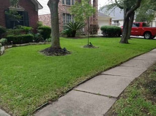Maria m.'s lawn maintenance service result