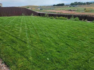 Scott O.'s turf maintenance service result