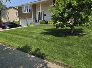 Aaron C.'s turf maintenance service result