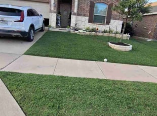 Mona S.'s turf care service result