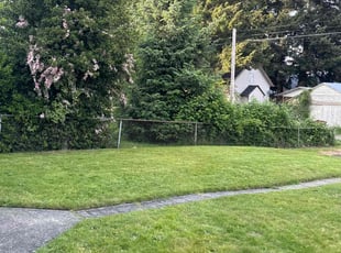 Felicia B.'s lawn service service result