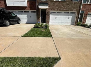 Harry D.'s lawn care service result