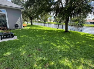 Dolleen W.'s grass maintenance service result