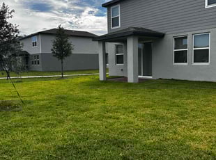 Dina F.'s turf care service result