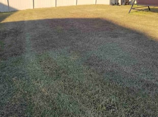 Robert B.'s grass maintenance service result