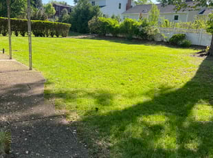 Jonathan P.'s grass cutting service result