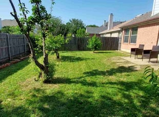 William H.'s grass maintenance service result