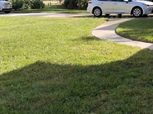 Shonneita T.'s lawn service service result