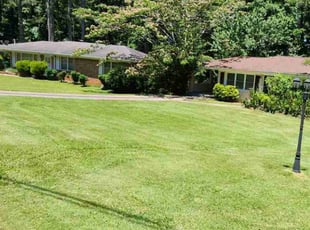 Dave N.'s lawn care service result