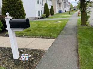 Elesha J.'s turf maintenance service result
