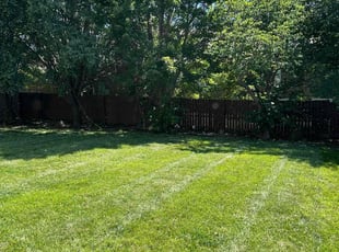 Shahzad M.'s lawn service service result