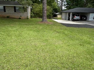 Alex W.'s lawn care service result