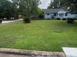 Patsy T.'s grass maintenance service result