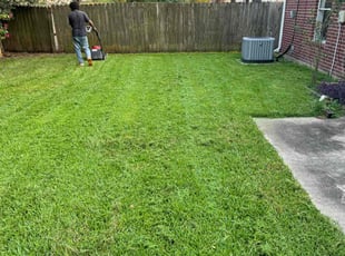 Ashley M.'s lawn care service result