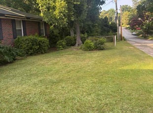 Shannon P.'s lawn service service result