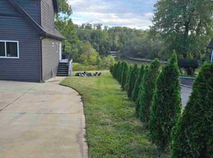 Percy H.'s lawn care service result