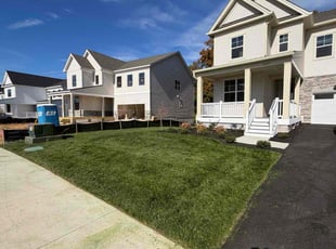 Shripal F.'s grass maintenance service result