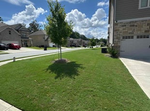 Alicia M.'s turf care service result
