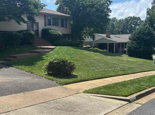 Ian M.'s grass cutting service result