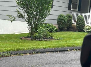 Jill H.'s lawn maintenance service result