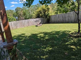 Kyle H.'s lawn care service result