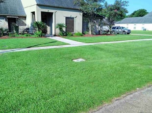 Kimberly B.'s lawn maintenance service result