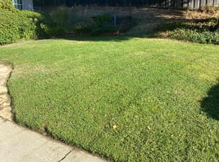 Emma H.'s lawn care services service result