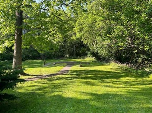 Aubrey B.'s grass cutting service result