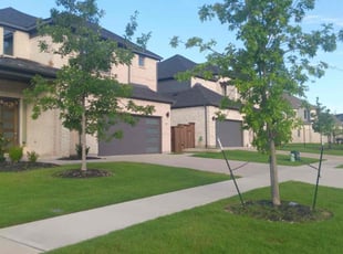 Emili W.'s lawn service service result