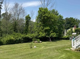 Shelly B.'s grass maintenance service result