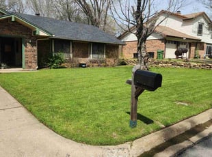 Christina P.'s turf care service result
