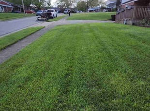 Jennifer J.'s turf care service result