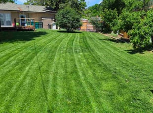 Sarah S.'s lawn care service result