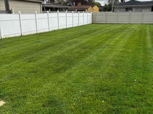 Rhett A.'s lawn care service result
