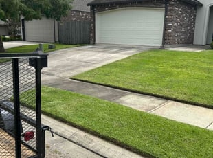 Chelsea B.'s turf care service result