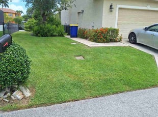 Phil S.'s turf maintenance service result