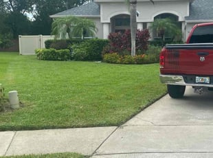 Jay T.'s yard care service result