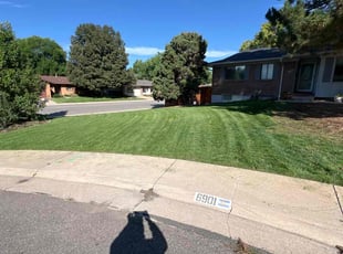 Julia J.'s turf care service result