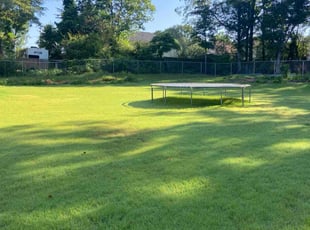 Latoshia E.'s lawn service service result