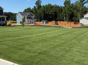 Linh C.'s lawn maintenance service result