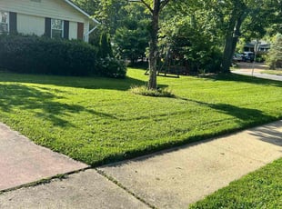 Zak K.'s lawn maintenance service result