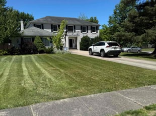 Brian/Brita B.'s turf maintenance service result