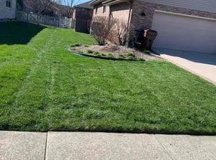 Ava S.'s turf maintenance service result