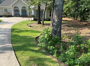 Sharon J.'s lawn service service result