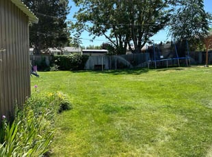 Laura T.'s lawn care service result