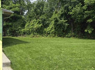 Katherine B.'s grass maintenance service result