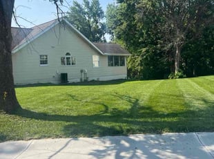 Mark K.'s turf care service result