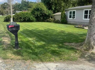 Thomas M.'s lawn care services service result